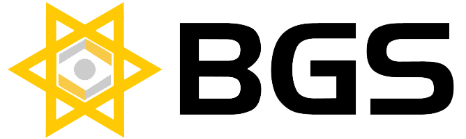 BigEye Global -Software Development Company in India